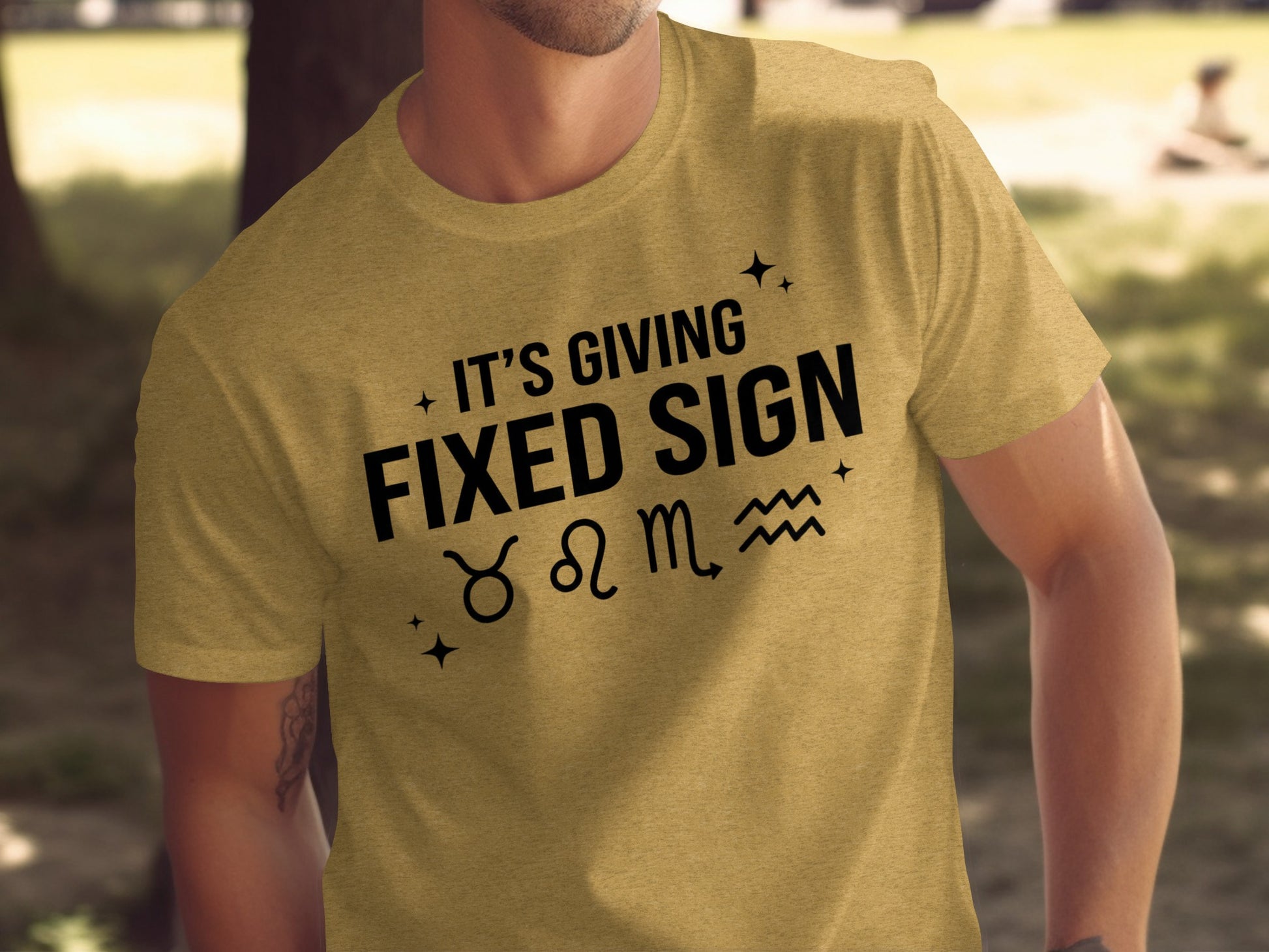 It's Giving Fixed Sign Astrology T-Shirt