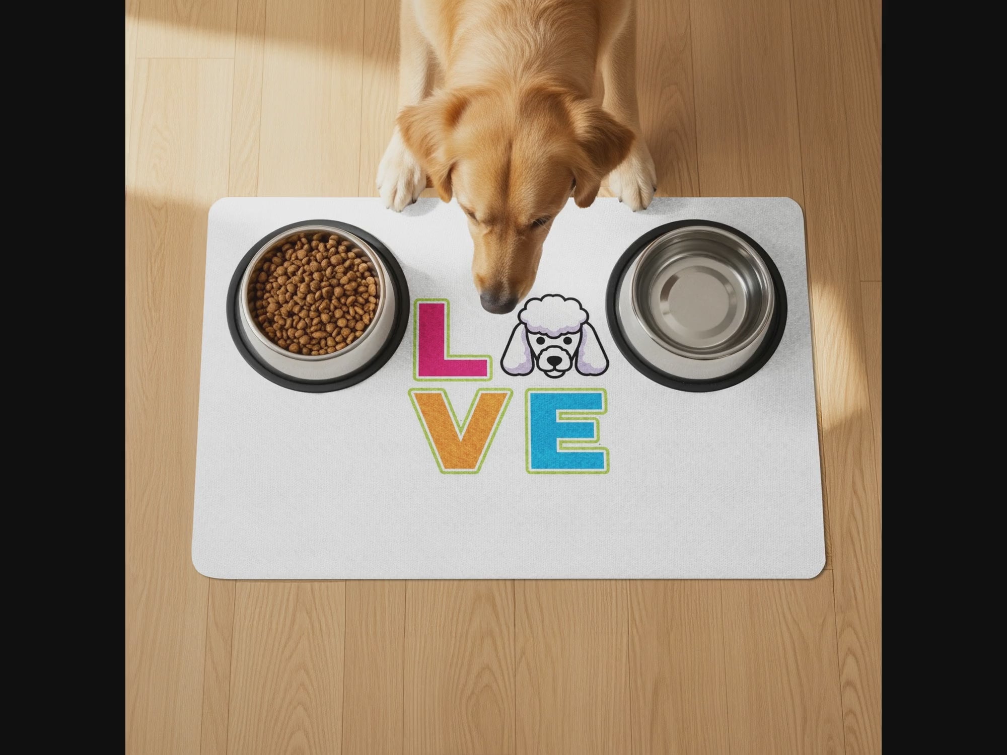 55aa3e2b-2cc6-41e0-a4d0-6160f89b0216