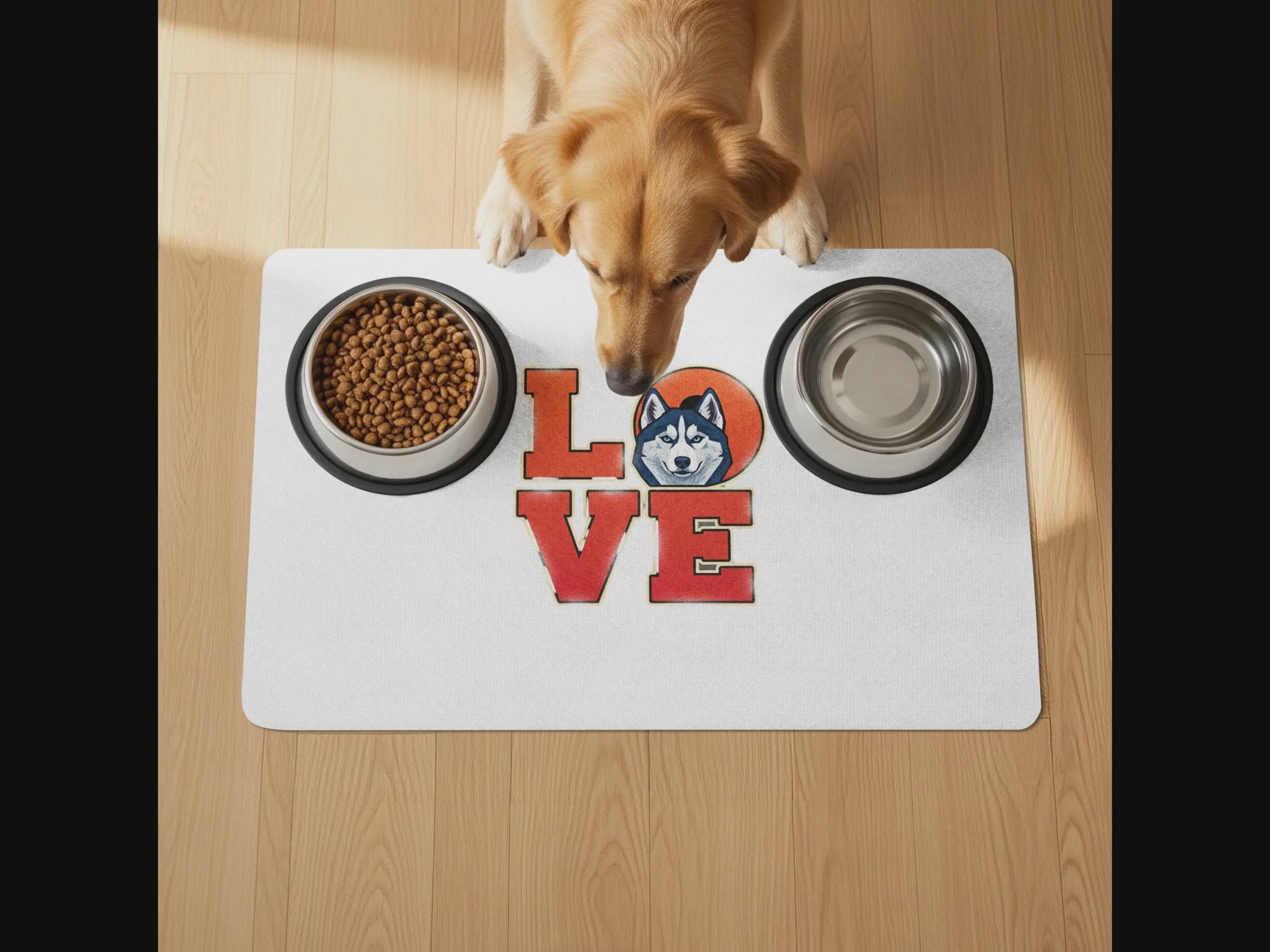 ff9082f8-d547-4403-8762-497ac4dc94df